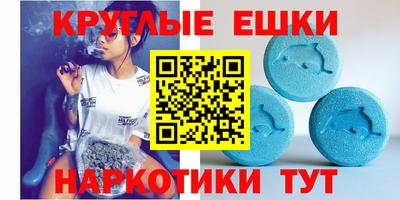 стаф Кинель
