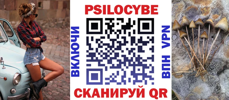 mega зеркало  Избербаш  Псилоцибиновые грибы Psilocybe 