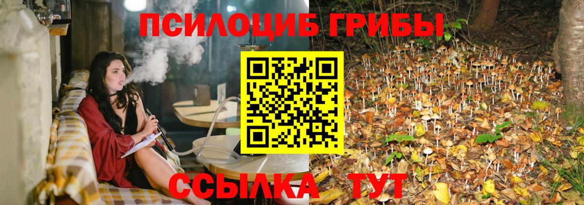 Метадон  Кодеин  МАРИХУАНА  ГАШ  КОКАИН  MDMA  Вход с VPN  Меф МЯУ МЯУ кристаллы  Избербаш  A PVP СК   Марихуана 
