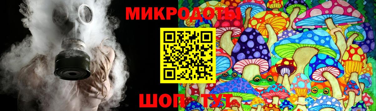 Псилоцибиновые грибы Cubensis Избербаш